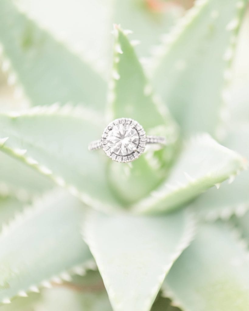 Ring on a cactus