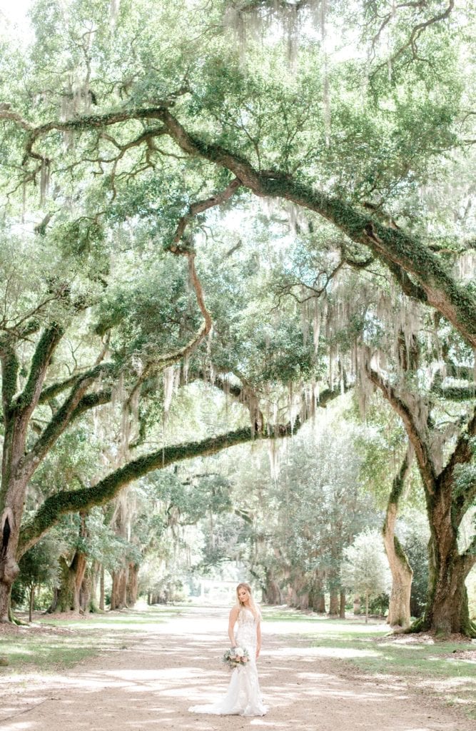 bride standing under the trees at st.francisville plantation